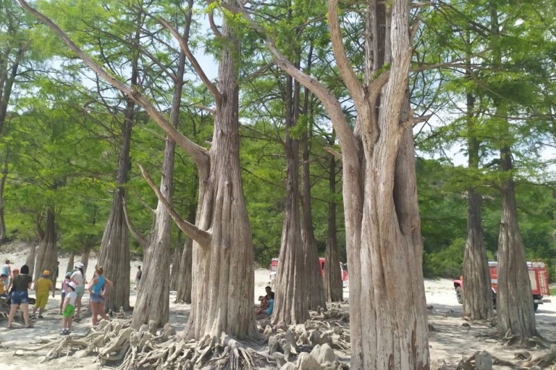 Экскурсии в Анапе‑2026