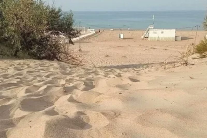 Пляж на Пионерском проспекте