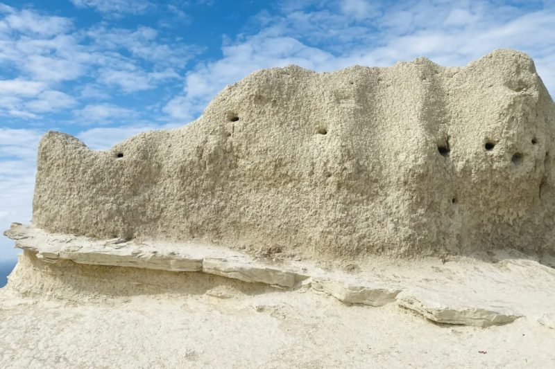 Ласточкины гнёзда