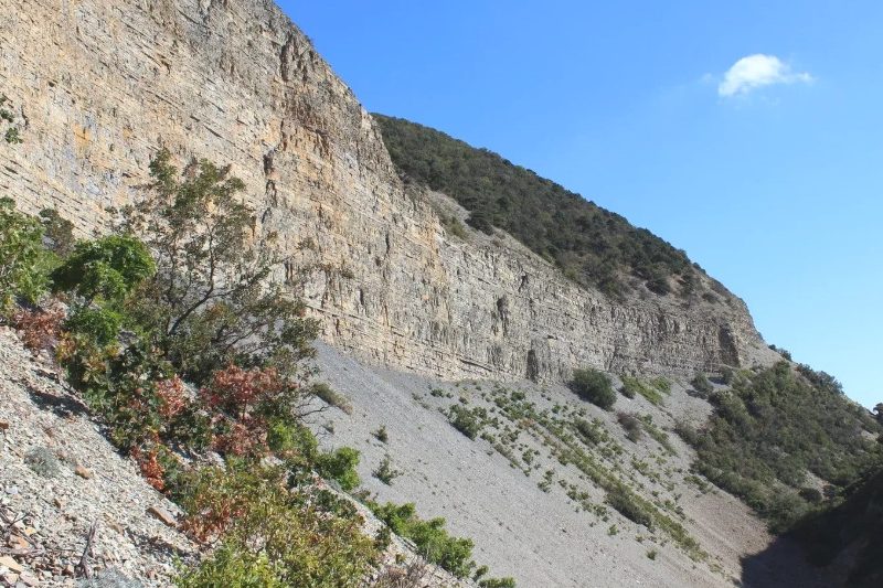 Савина щель